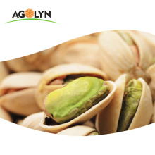 Dried Style and Raw Processing Type Bulk Pistachio Nuts